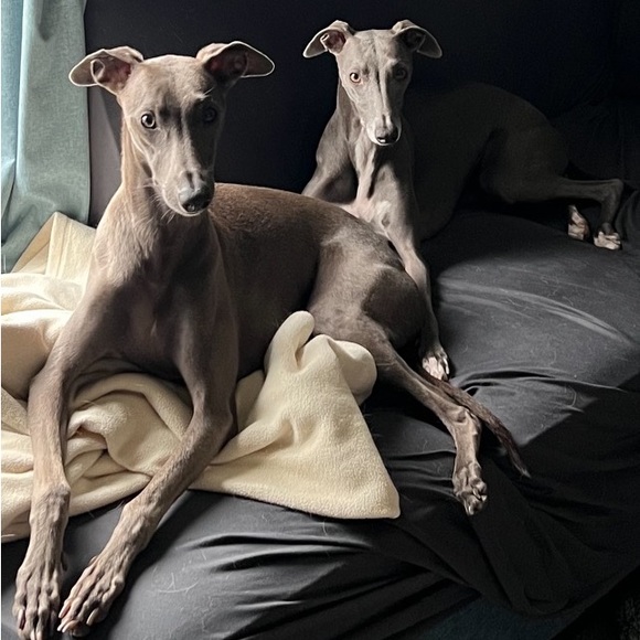 Meet your Posher, Nichole - Picture 1 of 2